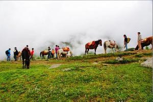 Kangding Horses And People